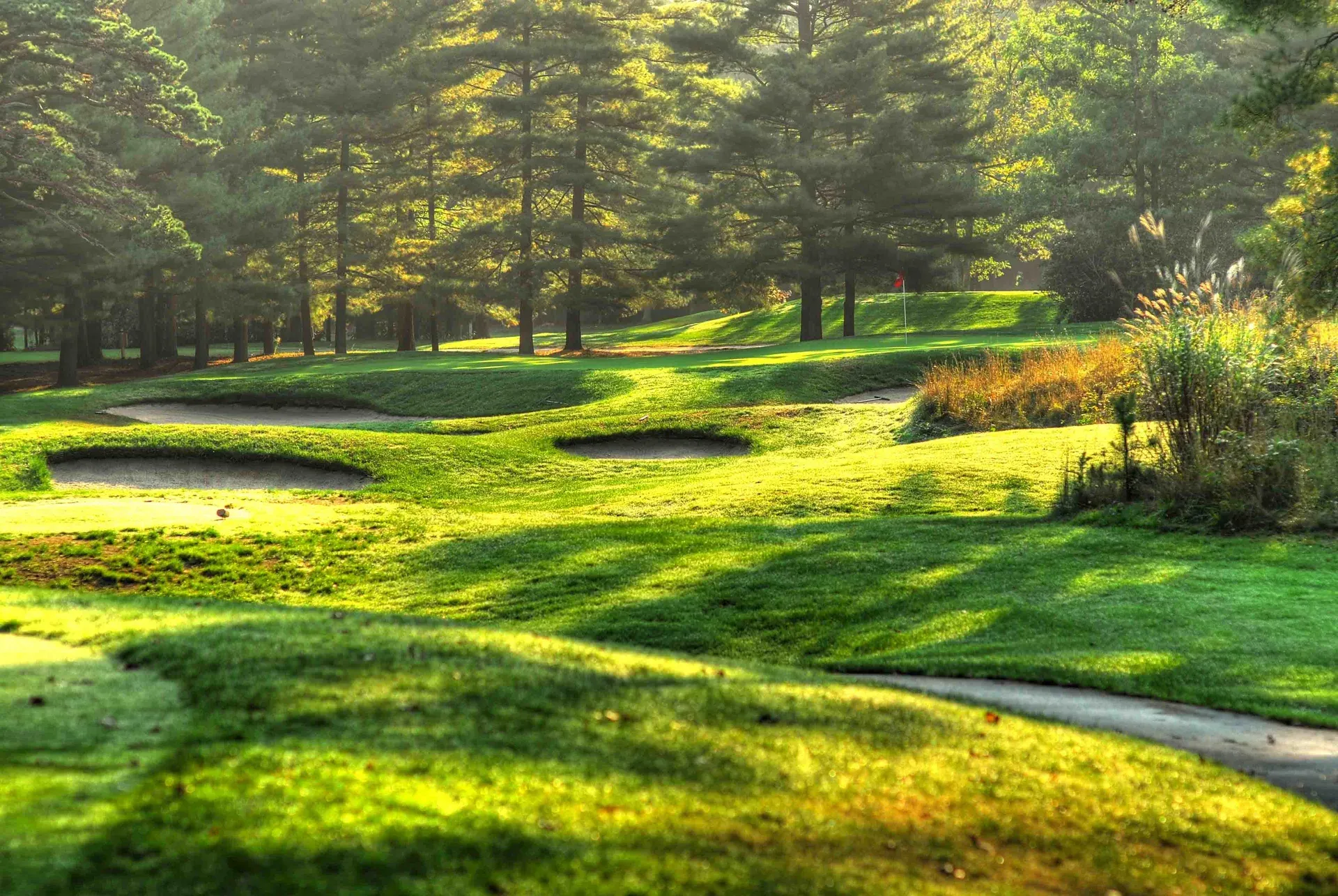 a golf course with trees and sand bunkers