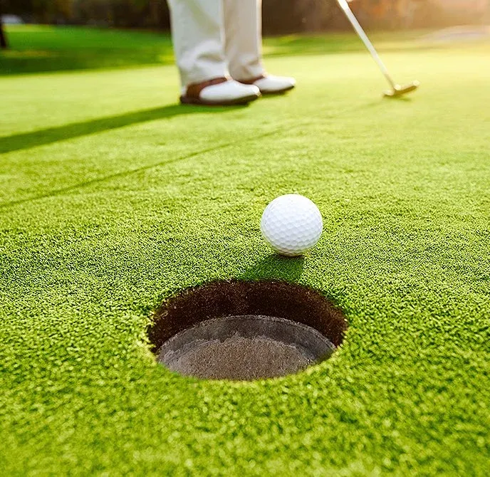 Golfer getting a hole in one at Seaview