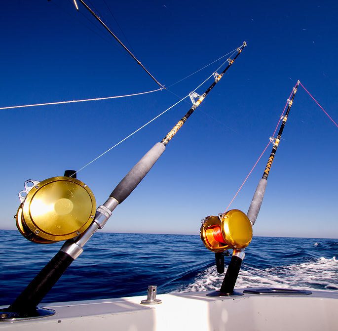 Reel in a Big Catch at the Shore